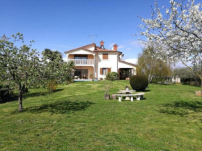 Apartments Jana, Umag
